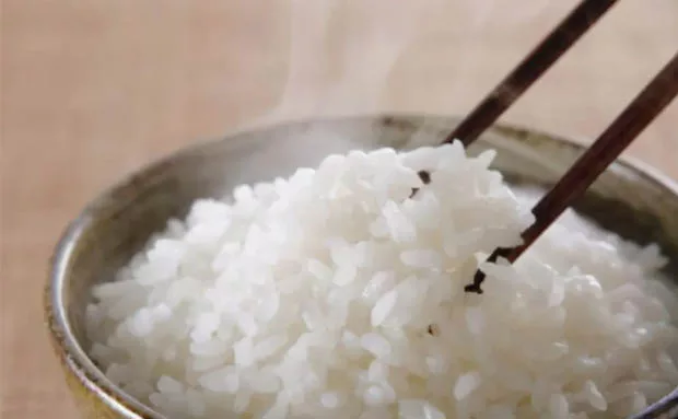 Rice