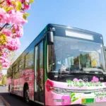 zkij.com travel tips