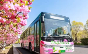zkij.com travel tips